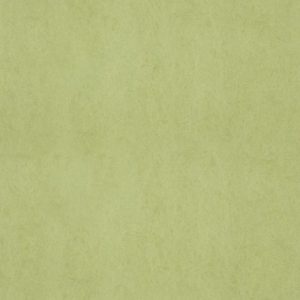 Обои Covers Wallcoverings Chroma 58-Lime