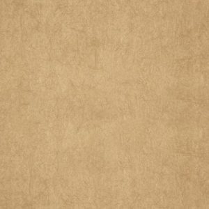 Обои Covers Wallcoverings Chroma 36-Fawn