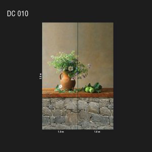 DC 010