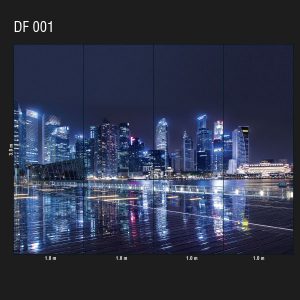 DF 001