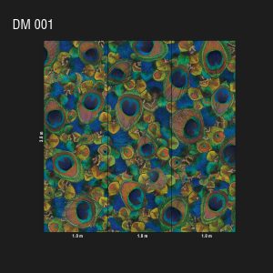 DM 001