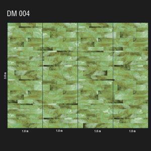 DM 004