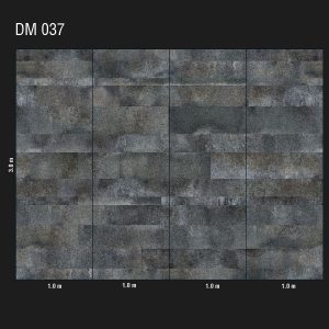 DM 037