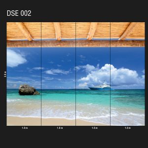 DSE 002