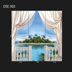 DSE 003