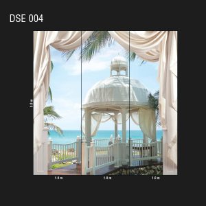 DSE 004