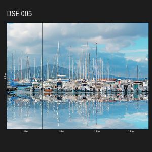 DSE 005