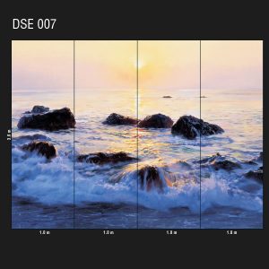 DSE 007