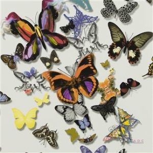 BUTTERFLY PARADE — MULTICOLORE